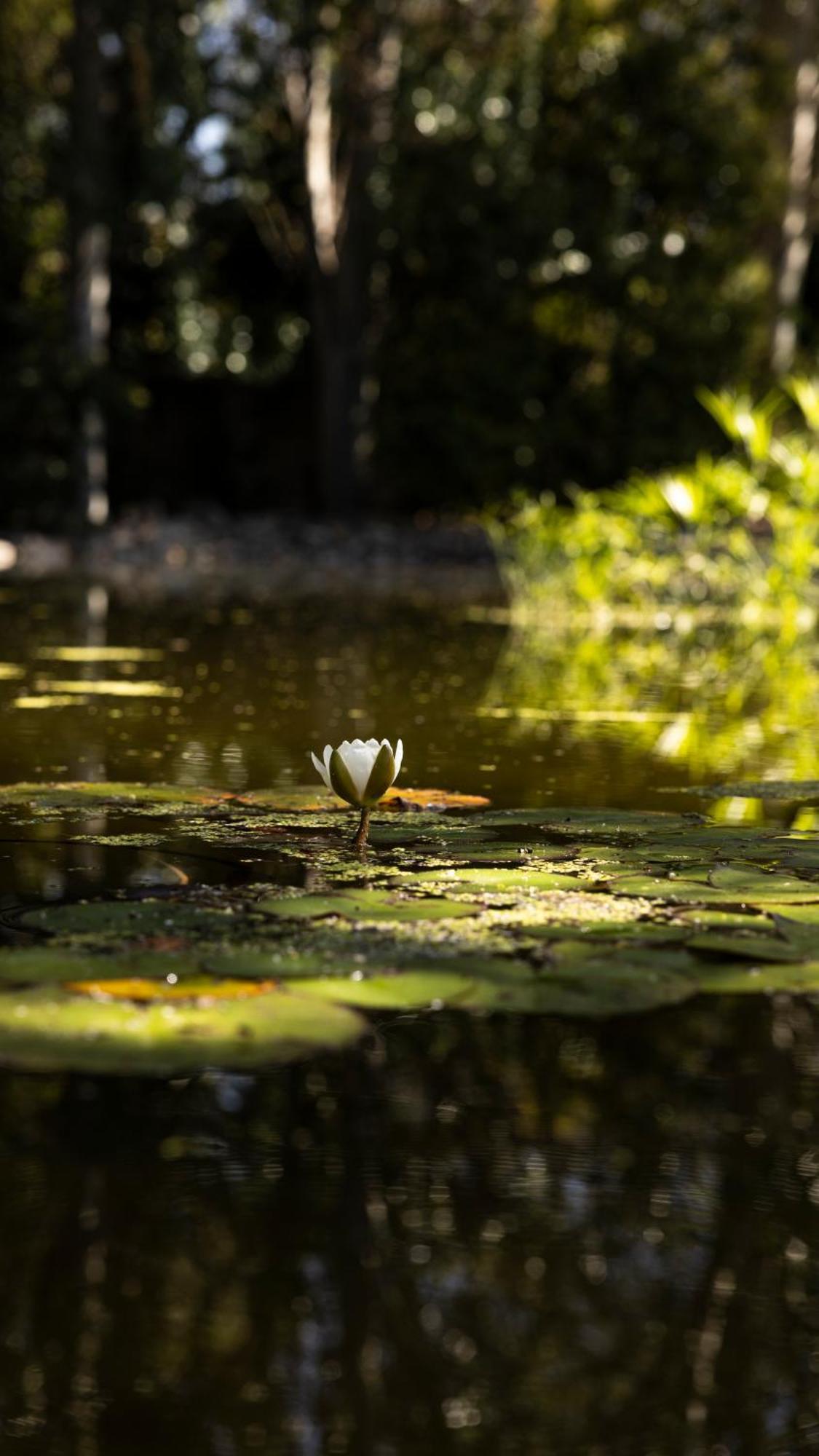 Hotel Rural Finca Vivaldi Nature & Spa San Miguel de Las Duenas Экстерьер фото